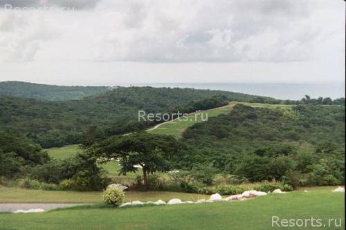 Ritz-Carlton Golf & Spa Resort 137